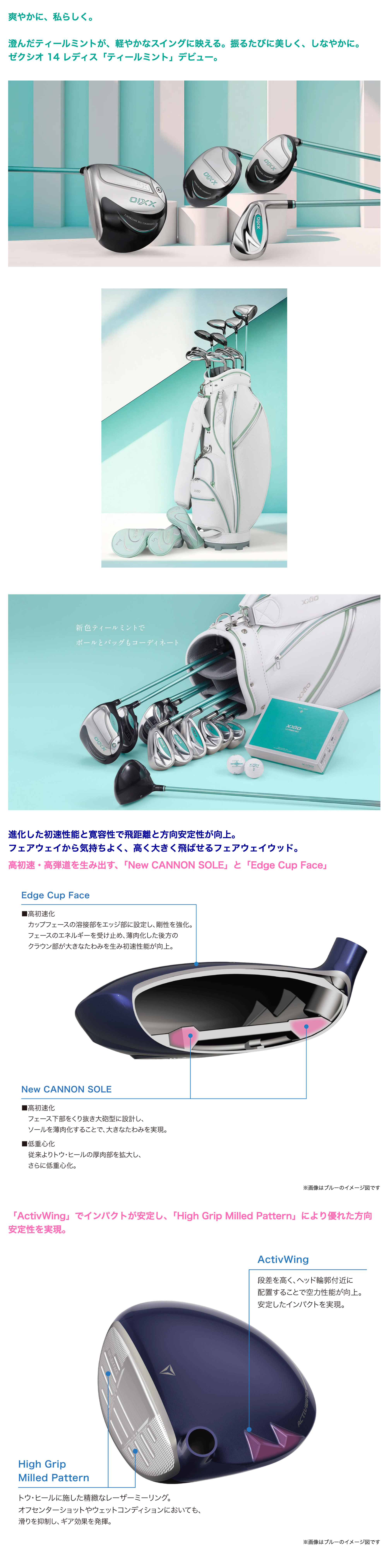 【7/25発売】ゼクシオ 14 レディス ティールミント フェアウェイウッド MP1400L カーボンシャフト【限定カラー】